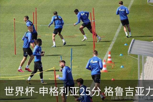 世界杯-申格利亚25分 格鲁吉亚力克委内瑞拉